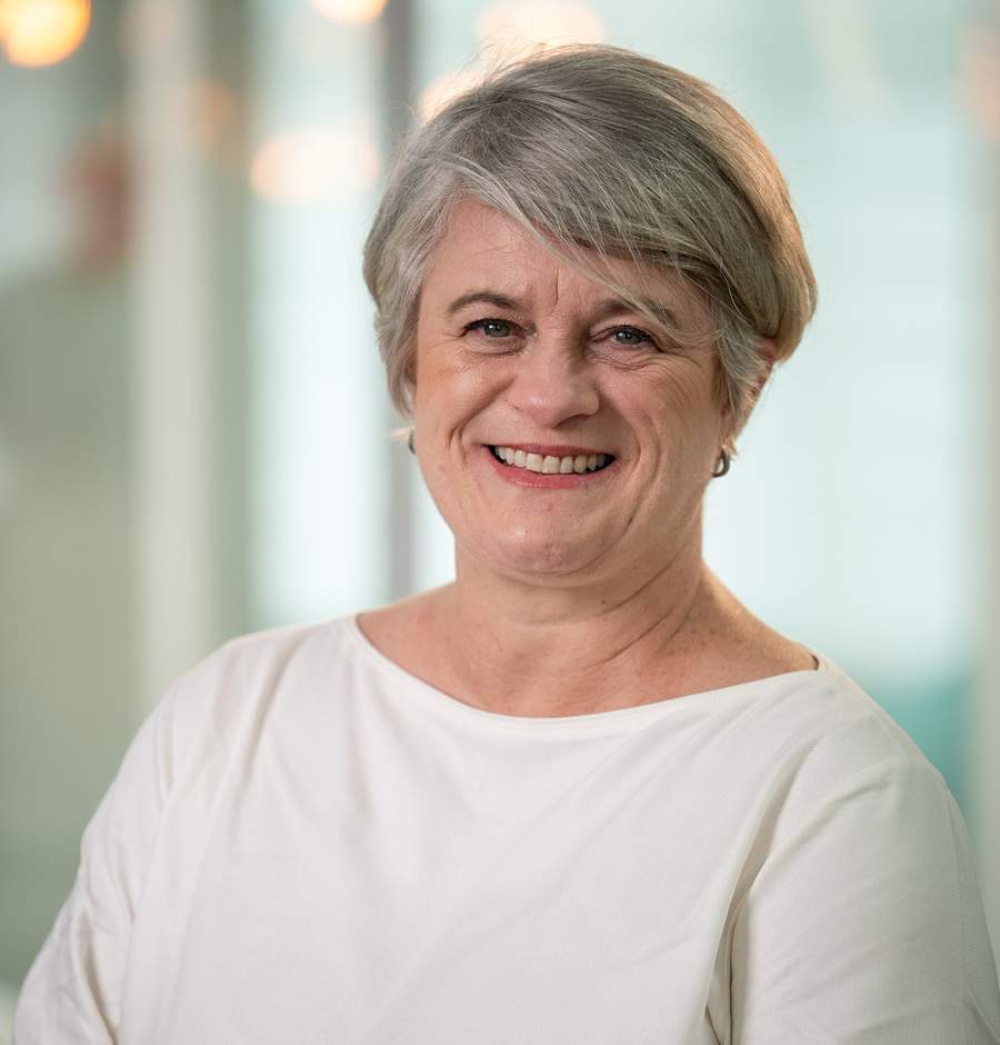 Cr&eacute;ditos: Divulga&ccedil;&atilde;o Grupo Marista