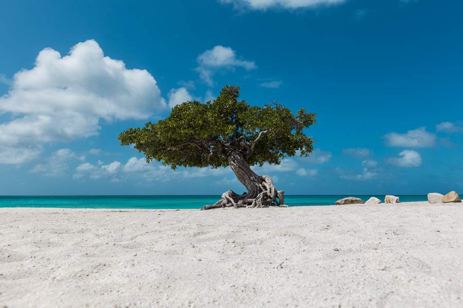 Eagle Beach - Crédito Aruba Tourism Authority