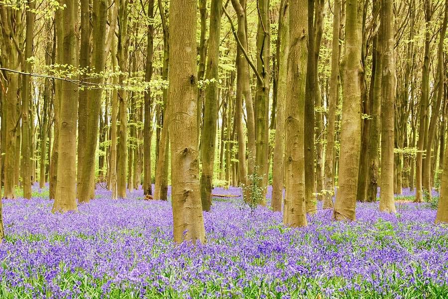 Corretora de seguros identifica riscos ambientais em empresas de diferentes segmentos