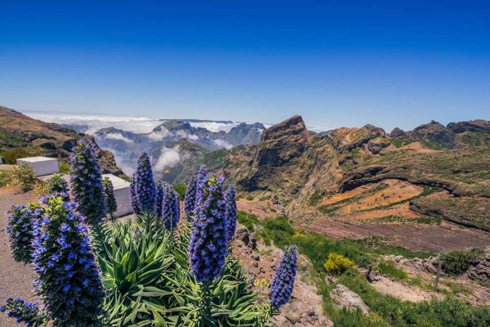 Pico do Areeiro - Ilha da Madeira