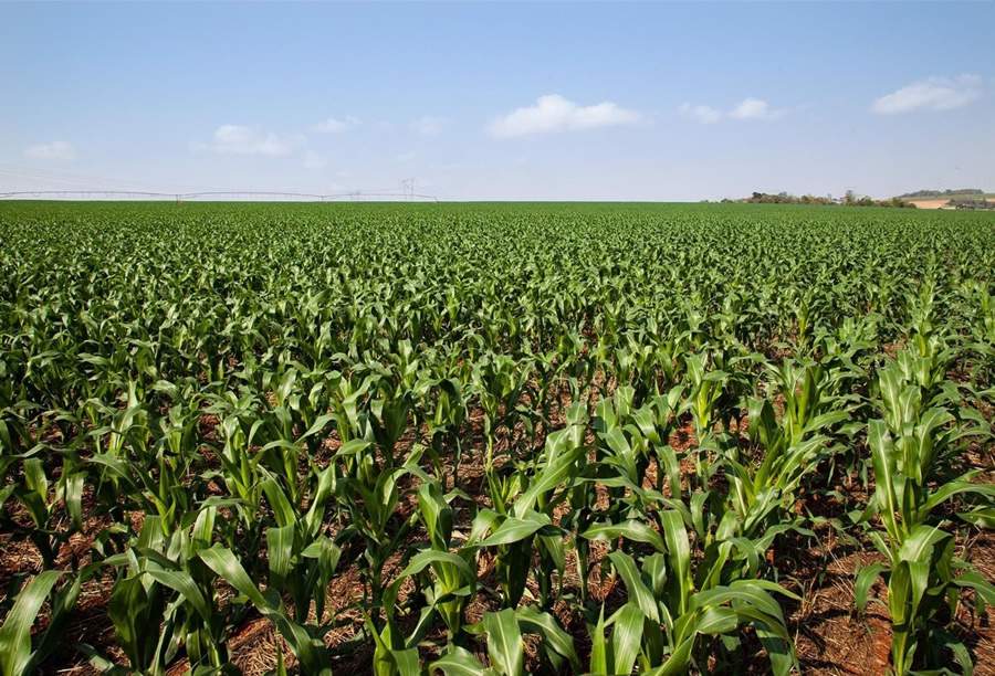 Biotecnologia Microgeo®️ é tema de trabalhos publicados em revistas científicas internacionais