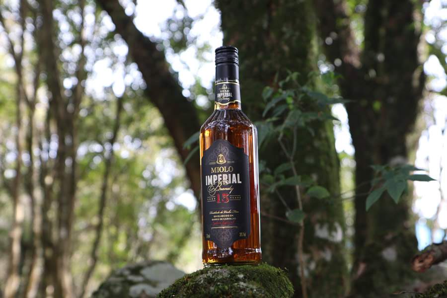 Fotos: Divulga&ccedil;&atilde;o Miolo