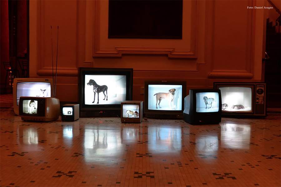 Memorial Minas Vale recebe a exposi&ccedil;&atilde;o &ldquo;Retro/Ativa&rdquo;, que tra&ccedil;a panorama da trajet&oacute;ria do artista multim&iacute;dia mineiro Eder Santos