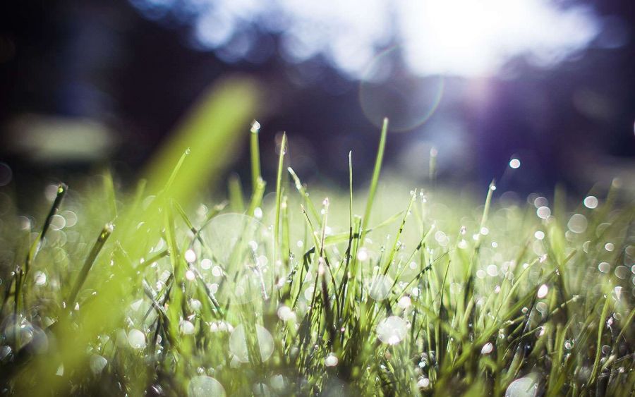 Drogas, novelas, e um pa&iacute;s corrupto