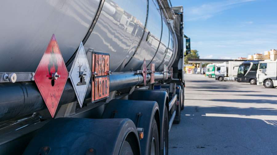 Foto: Divulga&ccedil;&atilde;o/Canva