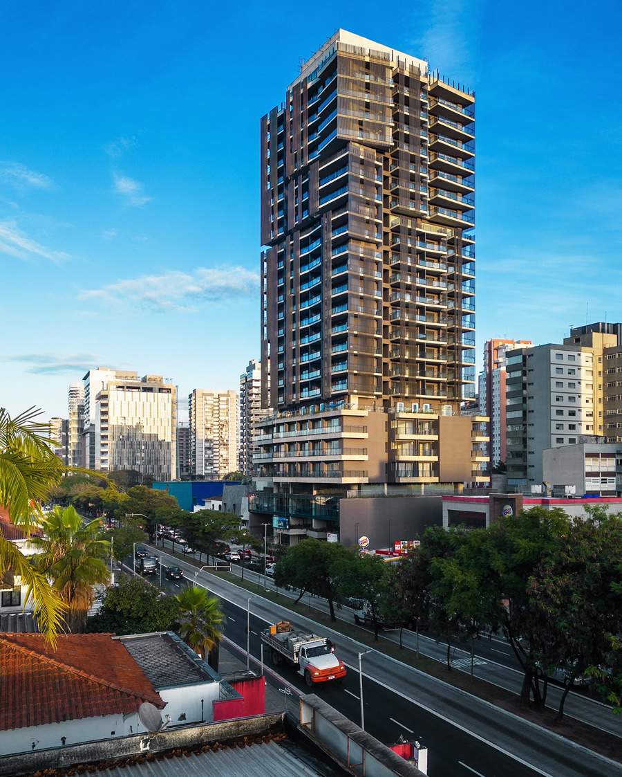 Ayra pinheiros_Nelson kon