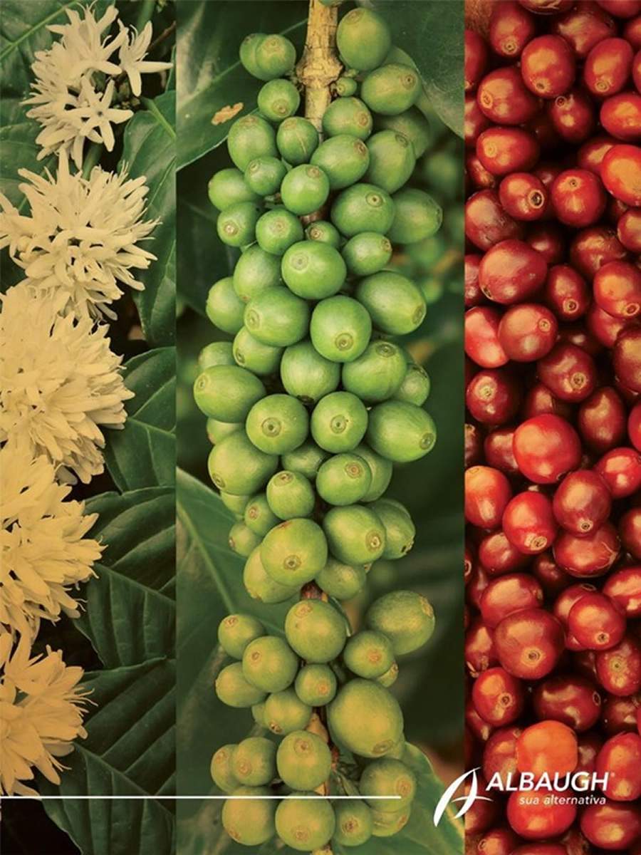 Café do Brasil - Na maior feira do setor cafeeiro, um portfólio robusto para fomentar produtividade e mais rentabilidade