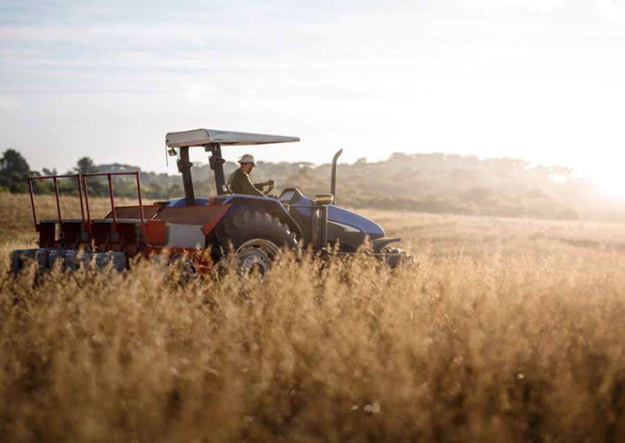 E-commerce no Agronegócio