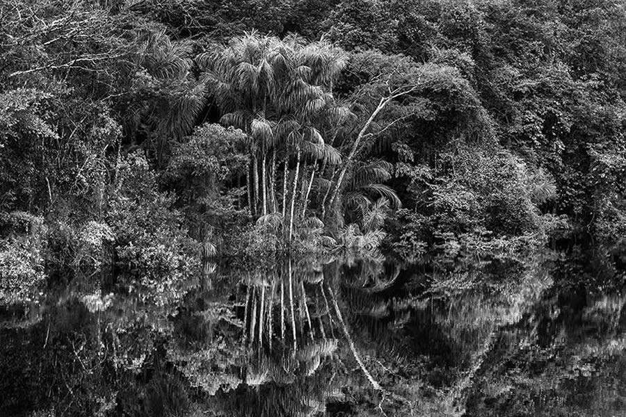 A illycaff&egrave; apoia a exposi&ccedil;&atilde;o "Sebasti&atilde;o Salgado. Amaz&ocirc;nia"