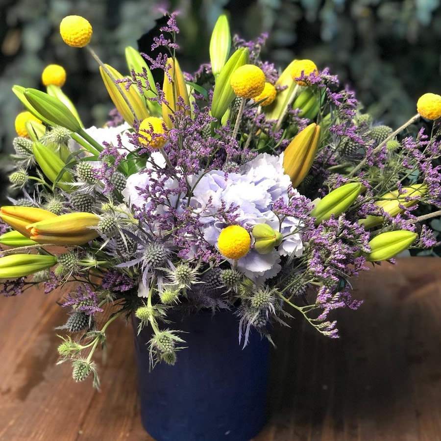 Para as pessoas radiantes, as flores amarelas s&atilde;o perfeitas - Divulga&ccedil;&atilde;o