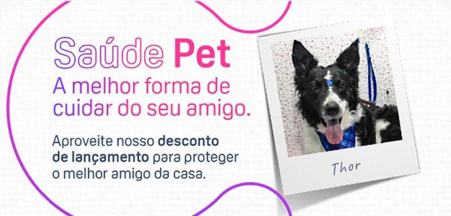 Insurtech amplia servi&ccedil;os para pets com plano completo para c&atilde;es e gatos