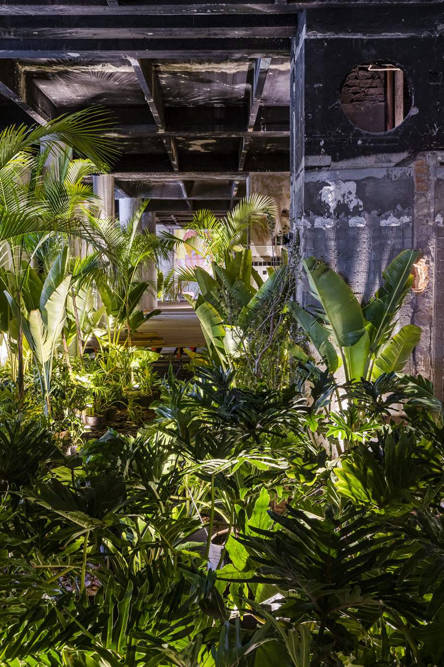 Foto: Gabriela Daltro