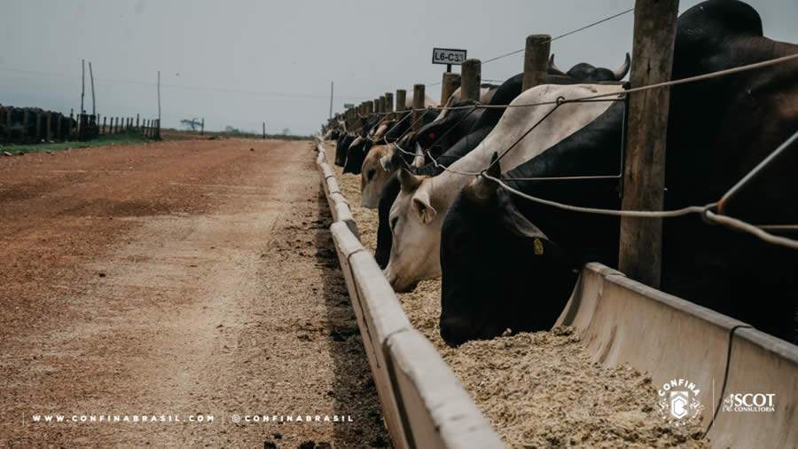 Foto Scot Consultoria