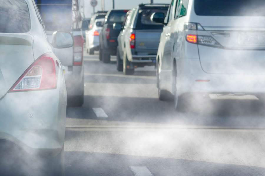 Banco de Imagem Canva