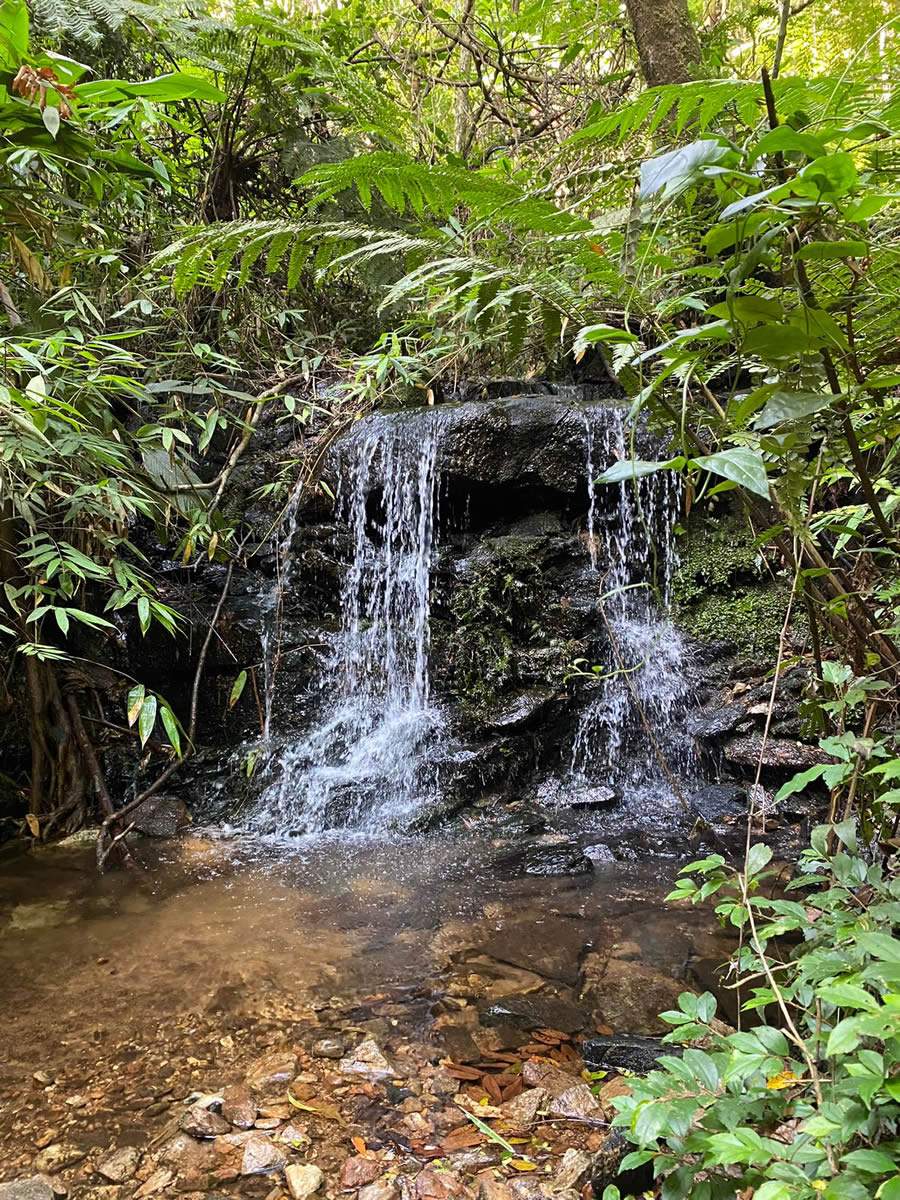 Projeto Olhos da Serra aborda impacto do fogo em &aacute;rea de conserva&ccedil;&atilde;o