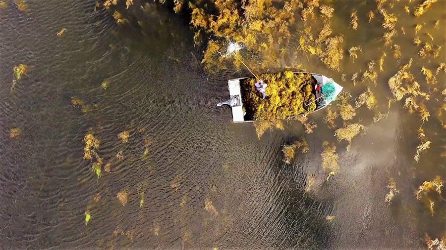 Cr&eacute;dito: Divulga&ccedil;&atilde;o