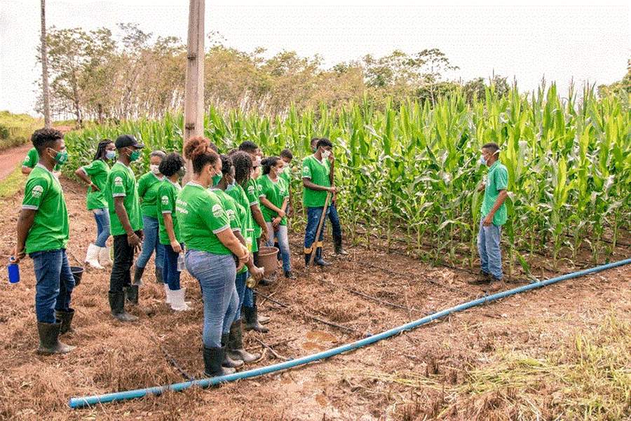 BB Seguros anuncia apoio a projeto que oferece ensino t&eacute;cnico a jovens de comunidades rurais no sul da Bahia