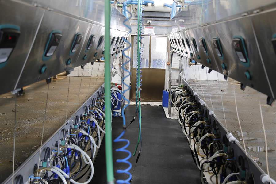 Quais fatores levar em considera&ccedil;&atilde;o na escolha do sistema de controle e medi&ccedil;&atilde;o de ordenha