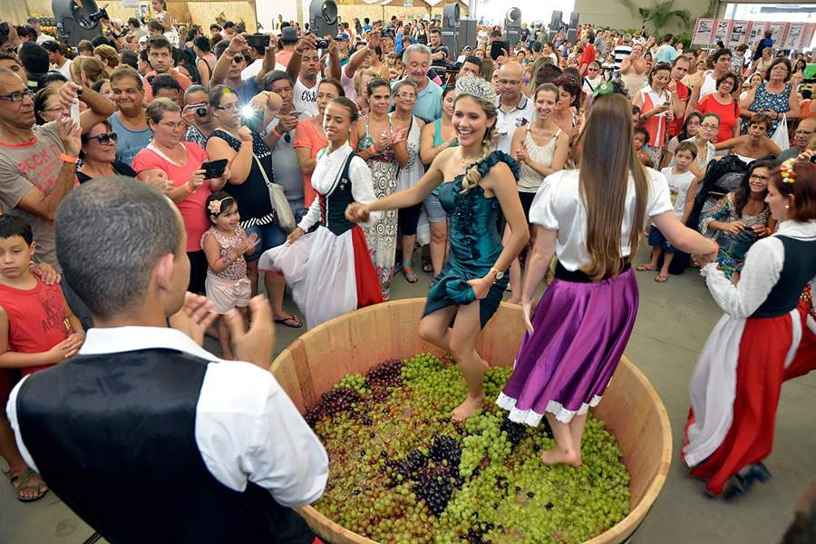Cerim&ocirc;nia de pisa das uvas na Festa da Uva de Jundia&iacute; (Foto: Divulga&ccedil;&atilde;o)