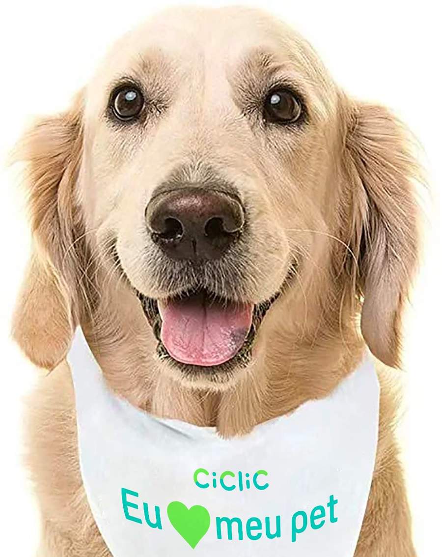 Ciclic &eacute; patrocinadora de festa julina consciente para pets em S&atilde;o Paulo