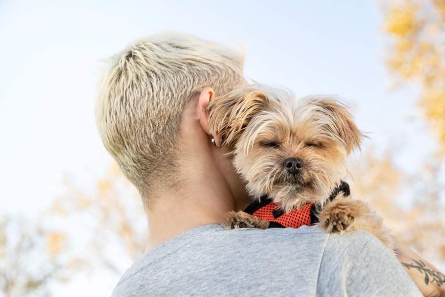 Imagem: Divulga&ccedil;&atilde;o/Mars Petcare