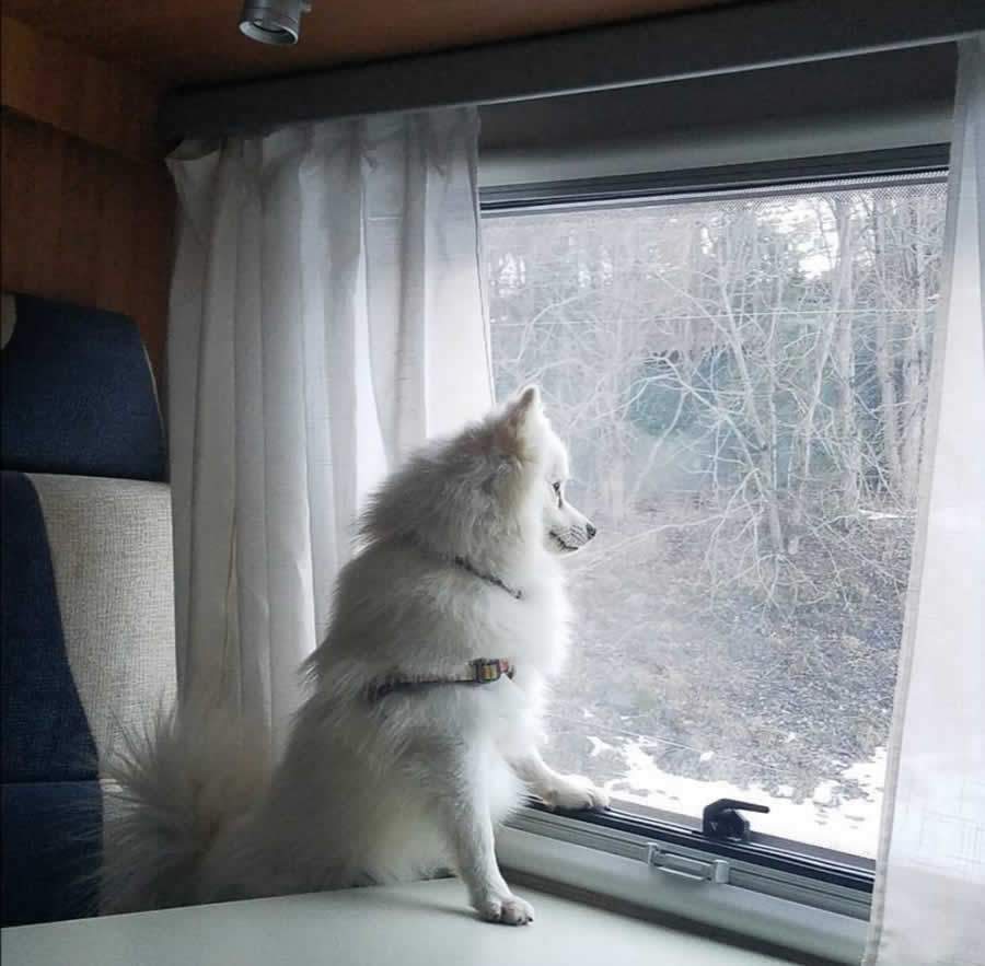 Cr&eacute;ditos de: Divulga&ccedil;&atilde;o / MF Press Global