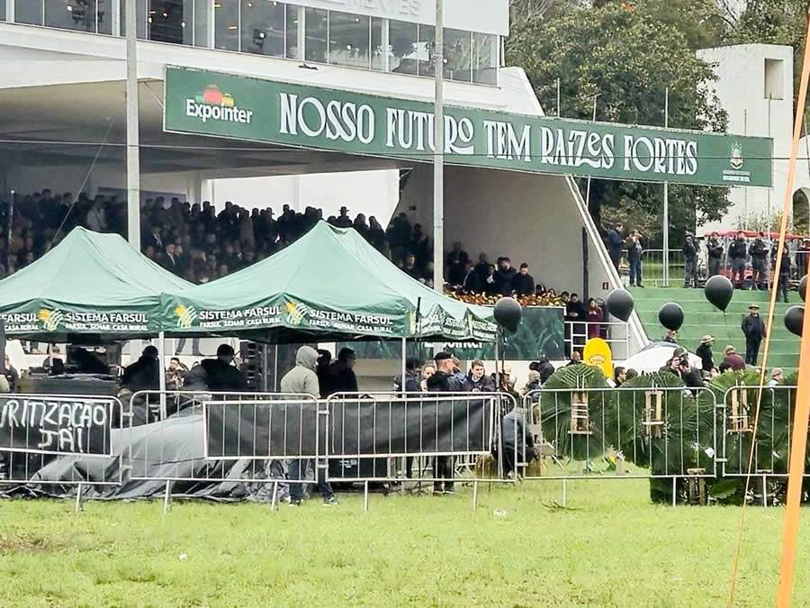 Crédito: Fernanda Torres