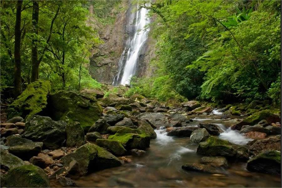 Foto: Reserva Natural de Salto Morato, protegida pela Fundação Grupo Boticário/ Crédito: José Paiva