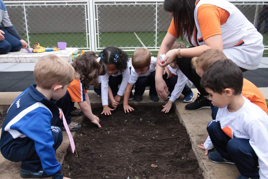 Projeto do Colégio Sepam incentiva cultivo de horta entre alunos