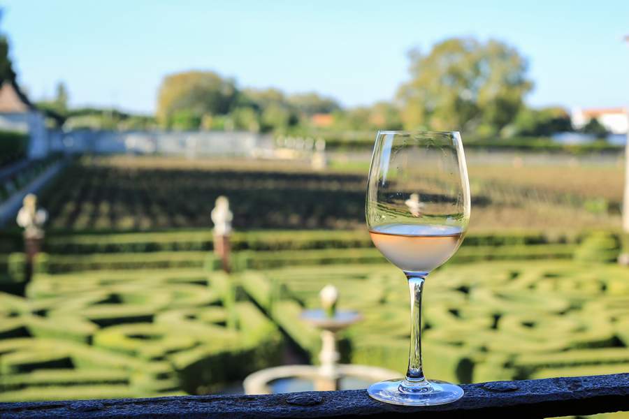 C&oacute;pia de Bacalh&ocirc;a