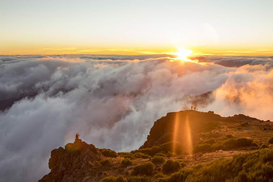 O que o Brasil e a Ilha da Madeira t&ecirc;m em comum?