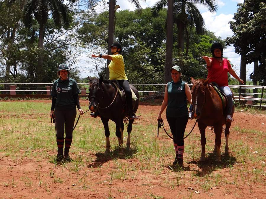 Equoterapia do Brasil para o Reino Unido: estudo brasileiro ser&aacute; veiculado em peri&oacute;dico internacional