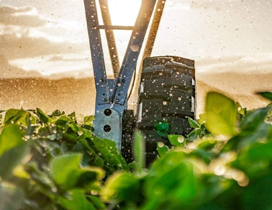 Cr&eacute;dito: Divulga&ccedil;&atilde;o