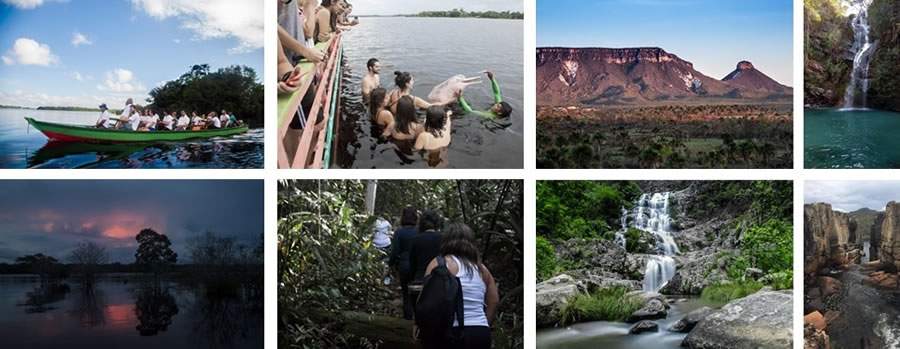 Exeriência de Ecoturismo na Amazônia é Opção de Turismo Responsável Para Aproveitar o Feriado de 9 de Julho