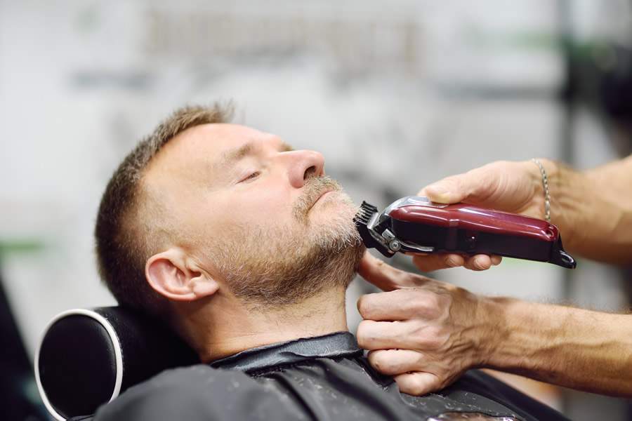 Divulga&ccedil;&atilde;o_Envato 