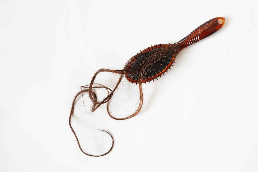 Cr&eacute;dito Pixabay