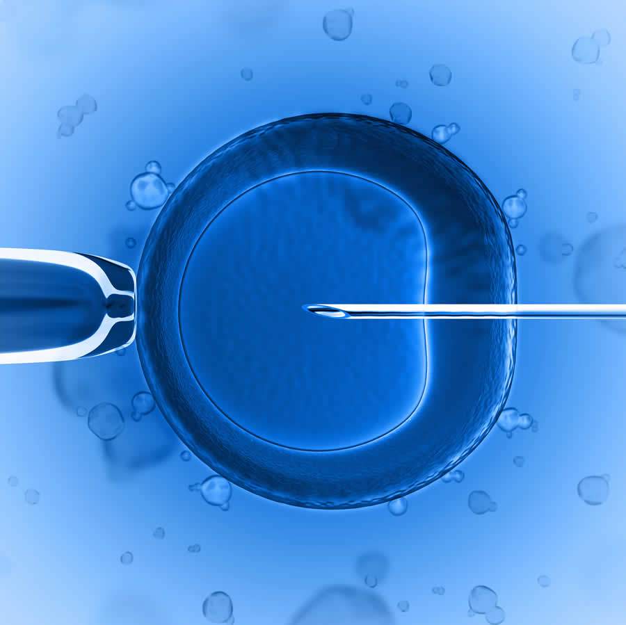Alta investe em tecnologia de produção de embriões in vitro