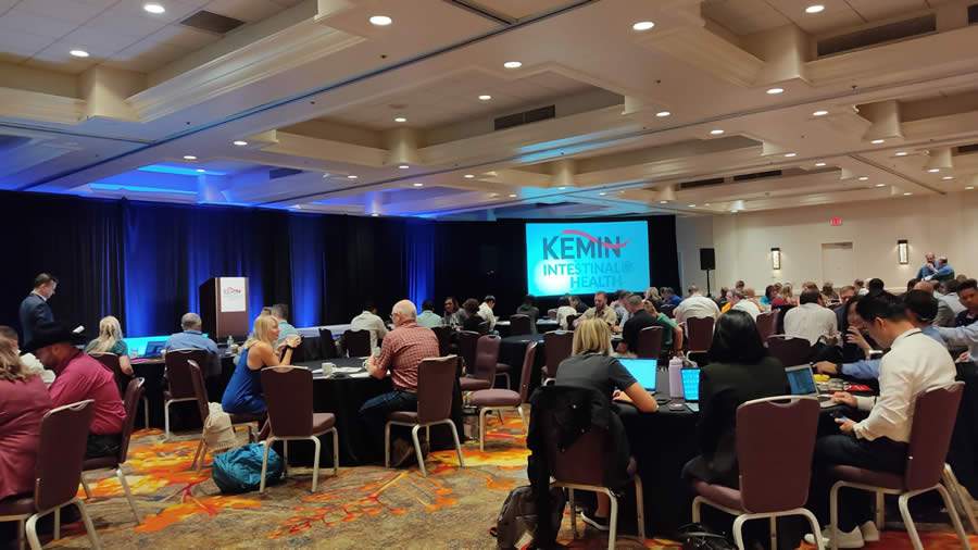 Cr&eacute;dito : Divulga&ccedil;&atilde;o