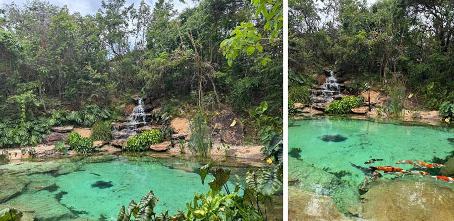 O lago ganha ainda mais vida com uma bela cascata e a presen&ccedil;a de diversas esp&eacute;cies de peixes, entre elas as carpas. | Projeto de paisagismo: Depieri Paisagismo | Execu&ccedil;&atilde;o do Lago: Bicalho Lagos Naturais | Fotos: Divulga&ccedil;&atilde;o