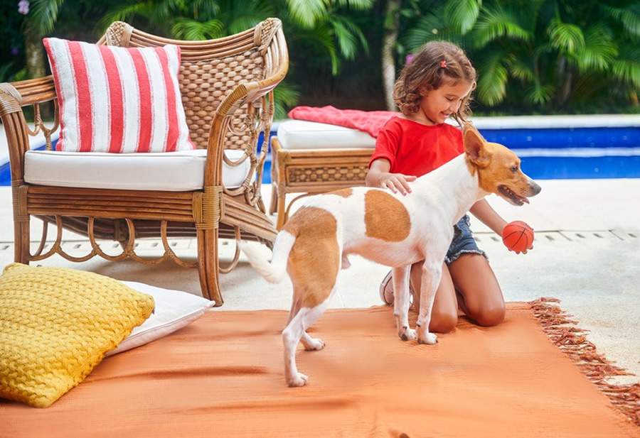 Cr&eacute;dito: Verisure