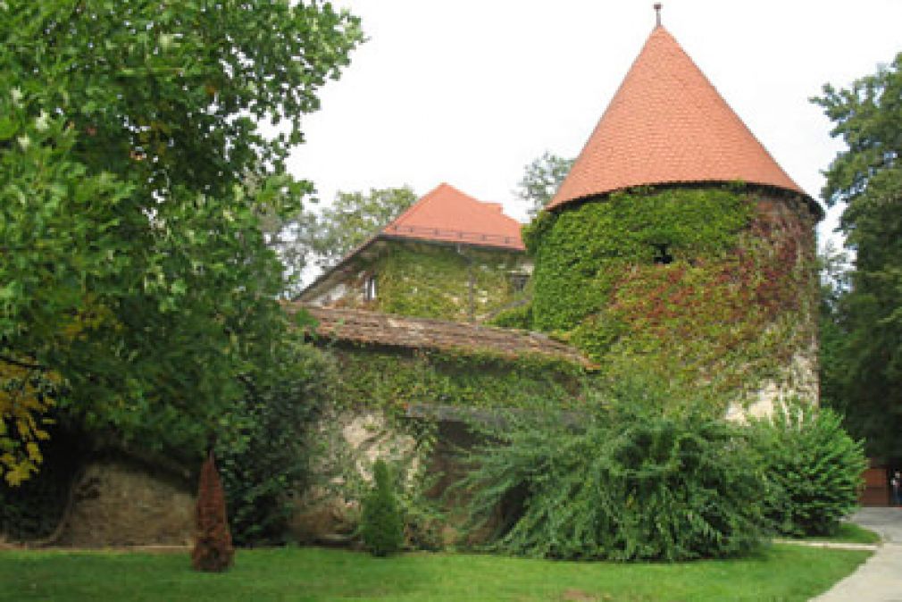 Porcentagem de casas com seguro residencial cresce no Brasil. Veja os benefícios do serviço