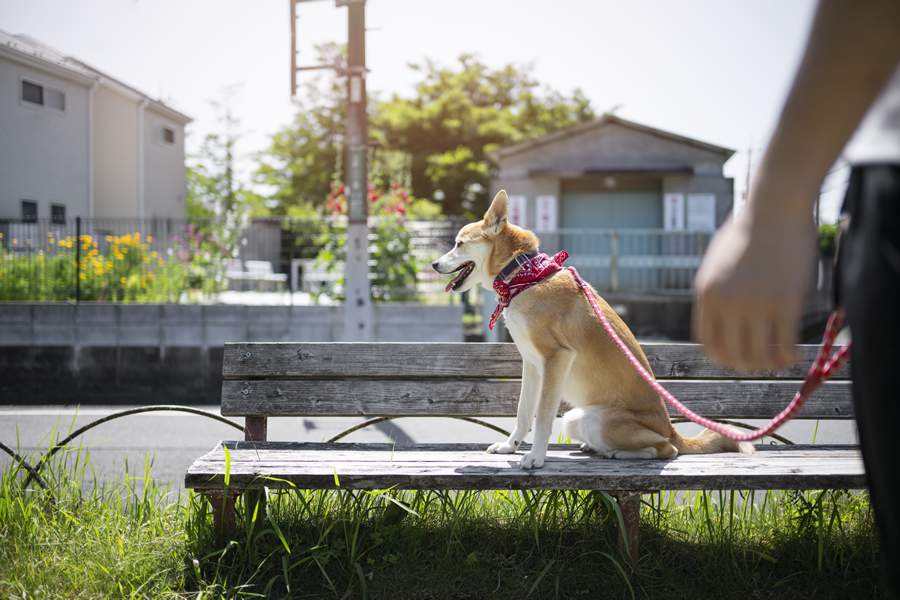 Imagem ilustrativa - Reprodução/Freepik