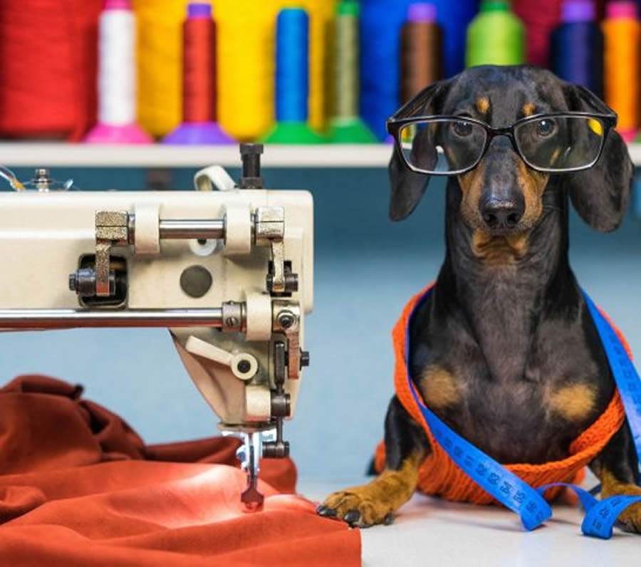 Imagem: Divulgação