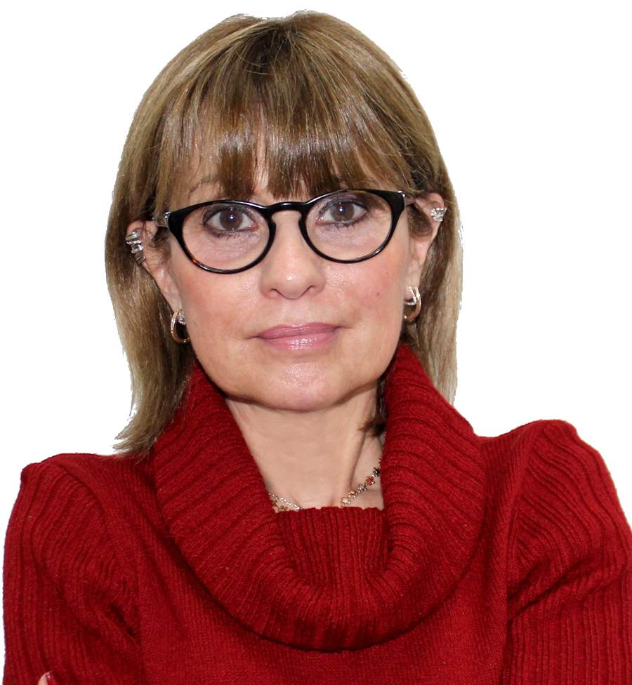 Viviana Palou - Divulga&ccedil;&atilde;o - Literare Books International