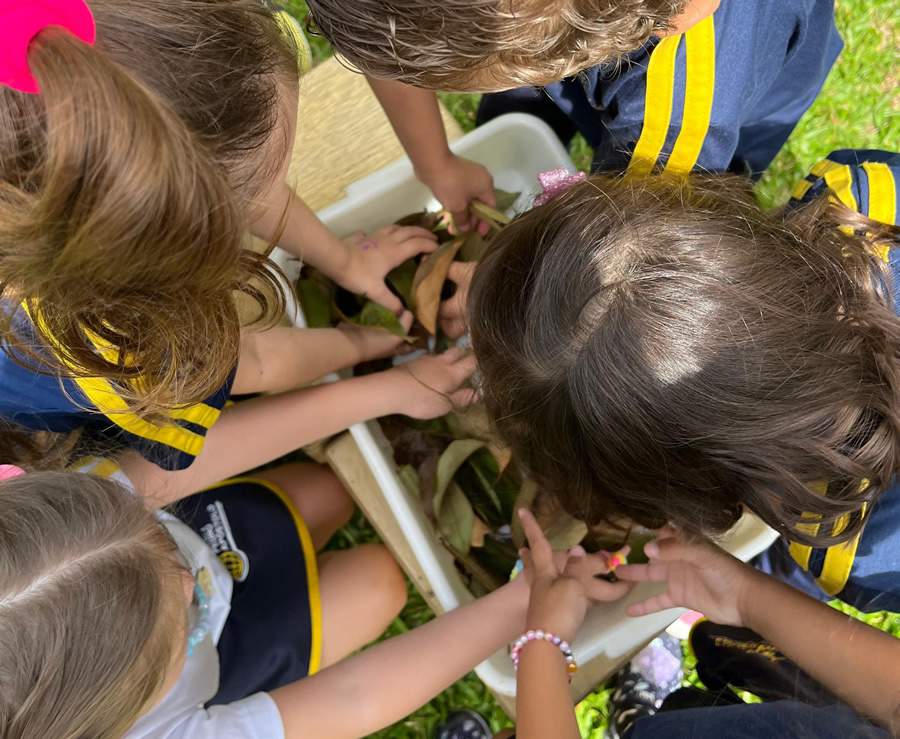 Filmes que ajudam a entender sobre a importância da preservação da natureza, do consumo responsável e do cuidado com o meio ambiente. - Divulgação