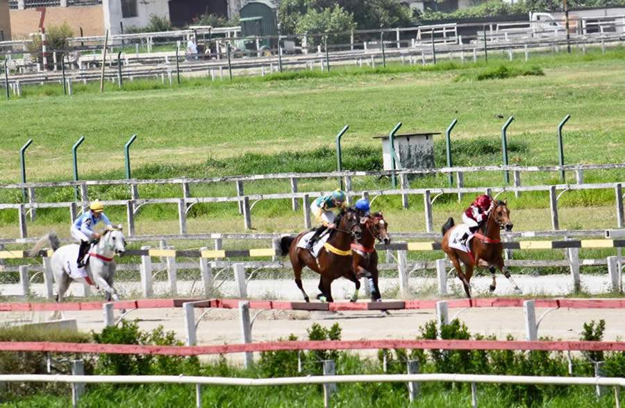 F&ecirc;meas da ra&ccedil;a &Aacute;rabe se enfrentam pelo Pr&ecirc;mio UAE President Cup Series Fillies II neste s&aacute;bado - Divulga&ccedil;&atilde;o/ABCCA