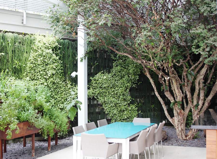 A Jabuticabeira, esp&eacute;cie escolhida por Cezar Scarpato para esse projeto veio para trazer frescor e sombra &agrave; &aacute;rea externa