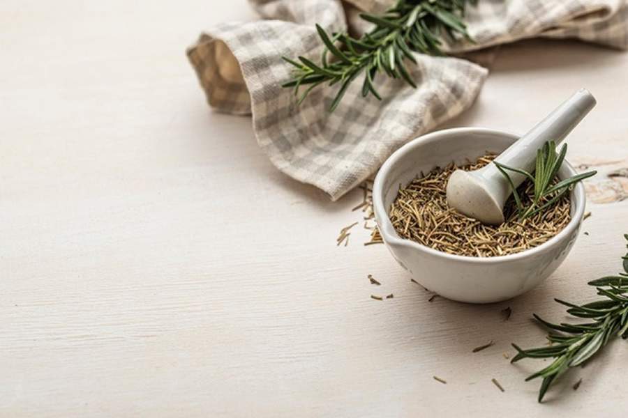 Benzimento: O Poder da Arruda