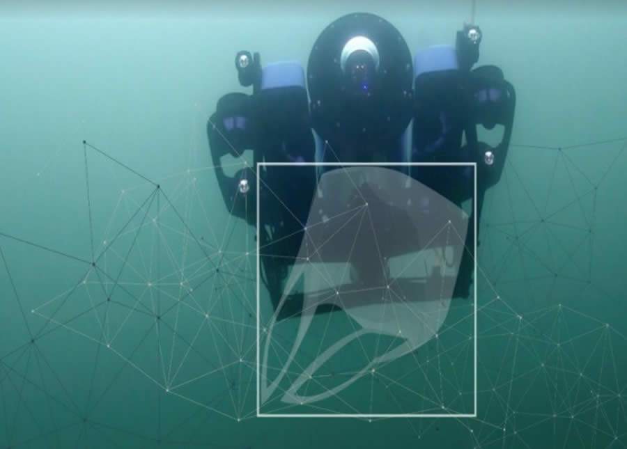 Dia Mundial do Meio Ambiente: tecnologia inédita permite o monitoramento da poluição por plásticos nas águas