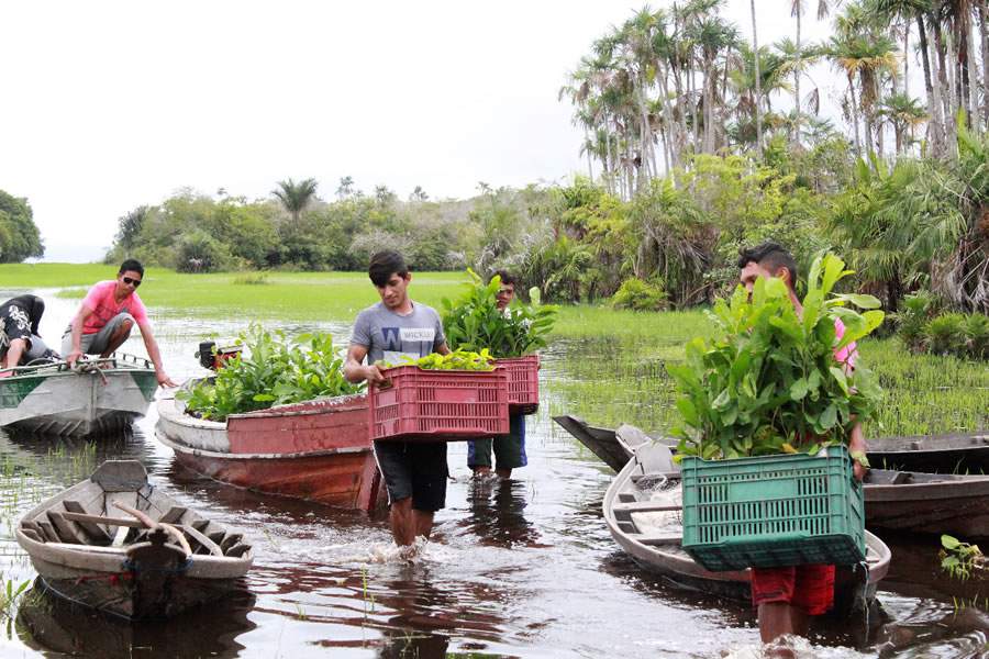 A iniciativa &eacute; uma parceria do Grupo Straumann com o Projeto Sa&uacute;de &amp; Alegria - Cr&eacute;ditos: Projeto Sa&uacute;de &amp; Alegria